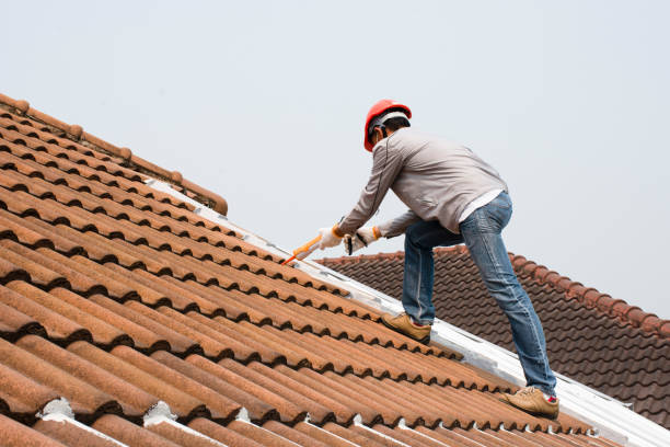Best Rubber Roofing (EPDM, TPO)  in Andrews, SC